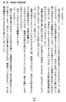 監獄島の洗脳捜査官 麗しき淫肉奴隷, 日本語