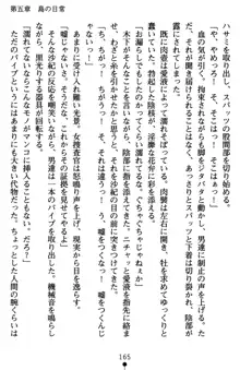 監獄島の洗脳捜査官 麗しき淫肉奴隷, 日本語