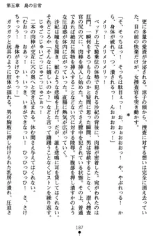 監獄島の洗脳捜査官 麗しき淫肉奴隷, 日本語