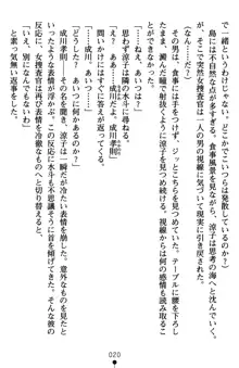 監獄島の洗脳捜査官 麗しき淫肉奴隷, 日本語