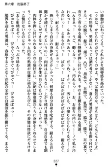 監獄島の洗脳捜査官 麗しき淫肉奴隷, 日本語