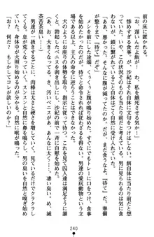 監獄島の洗脳捜査官 麗しき淫肉奴隷, 日本語