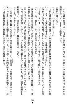 監獄島の洗脳捜査官 麗しき淫肉奴隷, 日本語