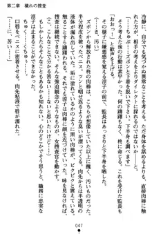 監獄島の洗脳捜査官 麗しき淫肉奴隷, 日本語