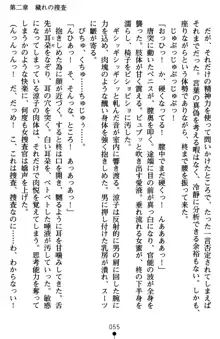 監獄島の洗脳捜査官 麗しき淫肉奴隷, 日本語