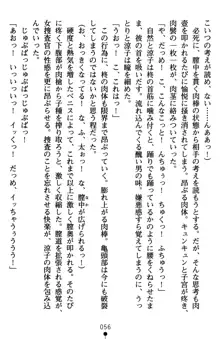 監獄島の洗脳捜査官 麗しき淫肉奴隷, 日本語