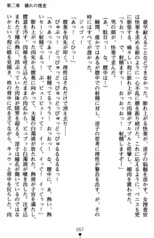 監獄島の洗脳捜査官 麗しき淫肉奴隷, 日本語