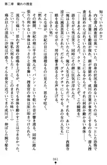 監獄島の洗脳捜査官 麗しき淫肉奴隷, 日本語