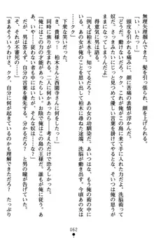 監獄島の洗脳捜査官 麗しき淫肉奴隷, 日本語