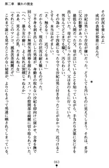 監獄島の洗脳捜査官 麗しき淫肉奴隷, 日本語