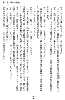 監獄島の洗脳捜査官 麗しき淫肉奴隷, 日本語