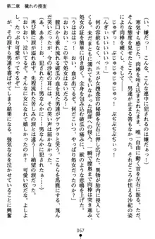 監獄島の洗脳捜査官 麗しき淫肉奴隷, 日本語