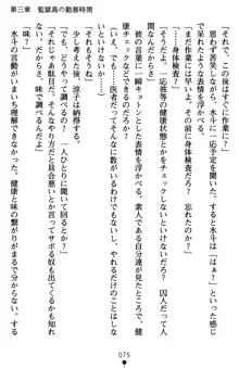 監獄島の洗脳捜査官 麗しき淫肉奴隷, 日本語