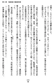 監獄島の洗脳捜査官 麗しき淫肉奴隷, 日本語