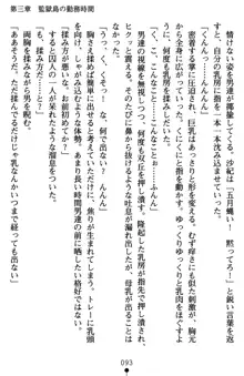 監獄島の洗脳捜査官 麗しき淫肉奴隷, 日本語