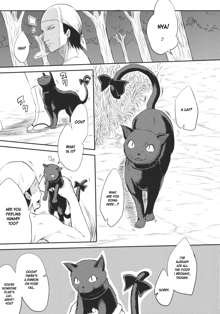 Neko no Kimochi., English