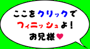 実用新案 リピュア, 日本語