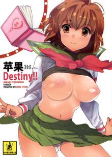 Ringo Destiny!!, English