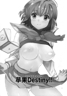 Ringo Destiny!!, English