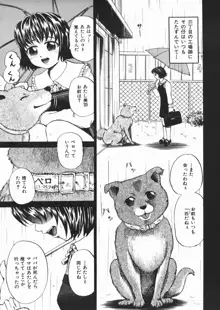 犬少女, 日本語