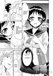 Yanagida-kun to Mizuno-san, 한국어