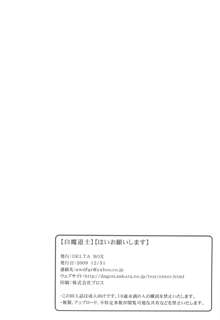 白魔道士はいお願いします。, 日本語