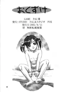 GAME PAL VIII, 日本語