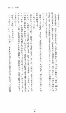 学園対魔捜査官 斎藤綾乃2, 日本語