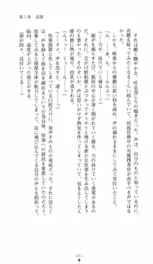 学園対魔捜査官 斎藤綾乃2, 日本語