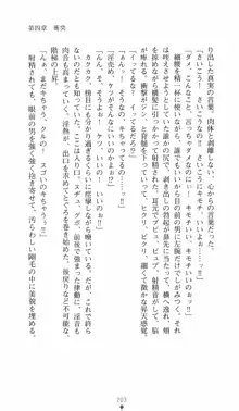 学園対魔捜査官 斎藤綾乃2, 日本語