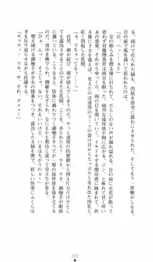 学園対魔捜査官 斎藤綾乃2, 日本語