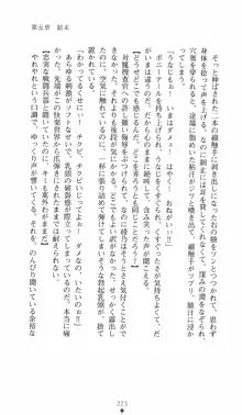 学園対魔捜査官 斎藤綾乃2, 日本語