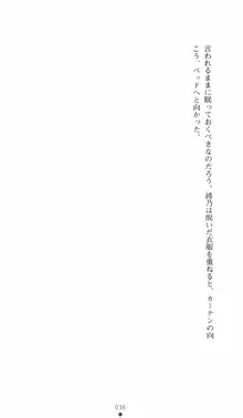 学園対魔捜査官 斎藤綾乃2, 日本語