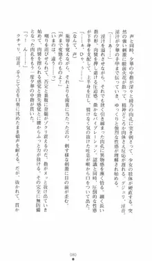 学園対魔捜査官 斎藤綾乃2, 日本語