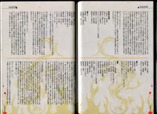 Maji de Watashi ni Koi Shinasai!! - Maji Koi Materials Book, 日本語