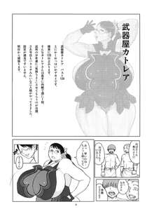 ハイブリッド通信増刊号vol.01, 日本語