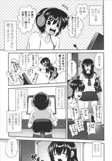 アネキネコ, 日本語