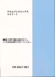 イミテイションゴールド ImitationGold, 日本語