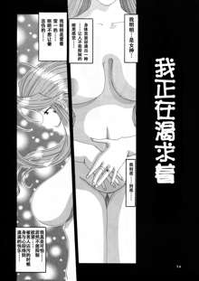 Nightmare of My Goddess Vol. 4, 中文