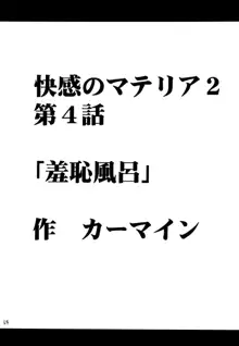 快感総集編, 日本語