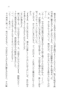 アヘ顔見ないで! 先生はクールな退魔士, 日本語