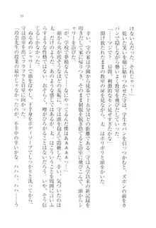 アヘ顔見ないで! 先生はクールな退魔士, 日本語