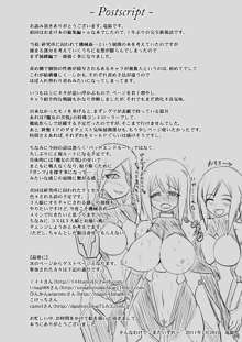 煌盾装騎エルセイン Vol.10 MALICIOUS SISTERS, 日本語