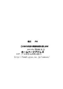 かがみんのチアコスで中に出してもいいですか, 日本語