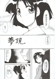 RANMA1/2 WORKS 3, 日本語