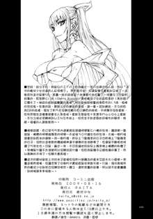 Mahou Shoujo 5.0, 中文