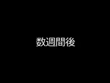 キングスライムたん!&邪悪爆乳○学生! 追加データ, 日本語