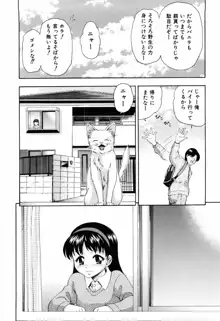 少女の胸がふくらむ時, 日本語