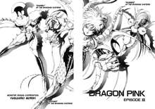 Dragon Pink THE LAST FIGHT, English