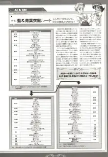 ピュアメール オフィシャルアートワークス, 日本語